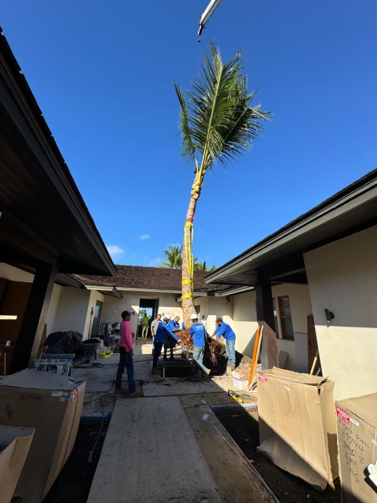 Aina Landscaping professional team delivering expert landscaping services in Kailua-Kona